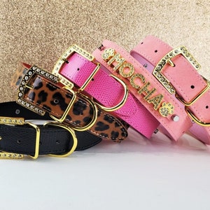 The Gold Bolds | Personalized Pet collar | XXS-XXL | Personalized Dog Collar | Pink Cat Collar | Pink Dog Collar Personalized Gift