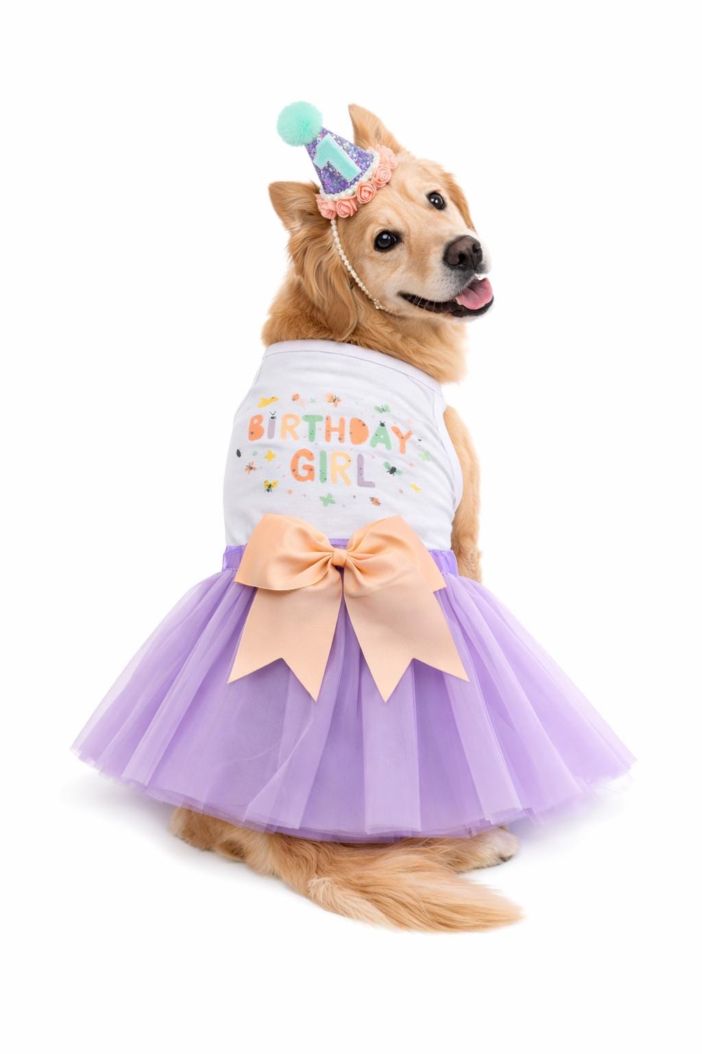 open lace back dress Gold Sequin Dog Dress main image 0