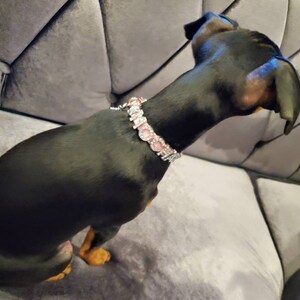 Quilted Shimmer Pink Dog Collar | Gifts for pets | XXS XS S M L XL | Personalized Dog Collar | Name Dog Collar | Pink Puppy Collar image 5