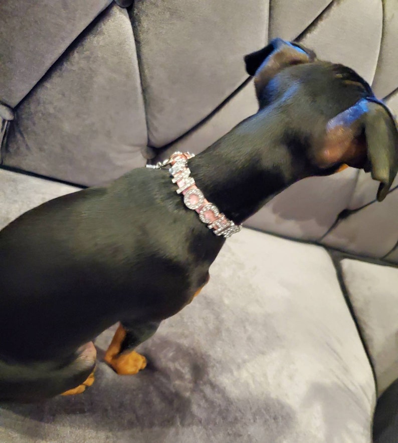 Quilted Shimmer Pink Dog Collar | Gifts for pets | XXS XS S M L XL | Personalized Dog Collar | Name Dog Collar | Pink Puppy Collar image 5