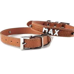 Saddle Brown Personalized Dog Collar | Gifts for pets | XXS XS S M L  XL | Personalized Dog Collar | Name Dog Collar