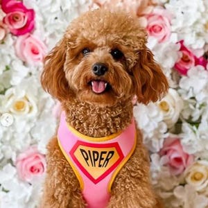 Superhero dog harness | Personalized harness | Pink or Blue | Optional matching leash and poo bag | XS-L | Fits pets 6-60 lbs