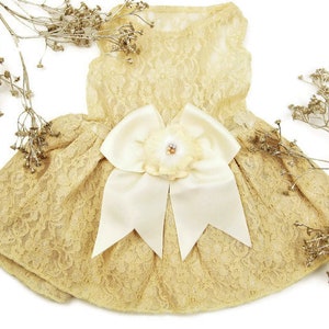 Wedding Dog Dress | Candlelight and ivory Dress | Candlelight Gold Bridesmaid Dog Dress | XS S M L XL XXL