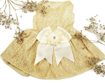 Wedding Dog Dress | Candlelight and ivory Dress | Candlelight Gold Bridesmaid Dog Dress | XS S M L XL XXL