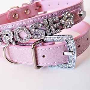 May include: Pink glitter dog collar with a silver buckle and a silver charm with the word "ROSIE" in rhinestones. The collar also has a silver paw print charm with rhinestones.