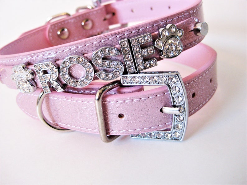 May include: Pink glitter dog collar with a silver buckle and a silver charm with the word "ROSIE" in rhinestones. The collar also has a silver paw print charm with rhinestones.