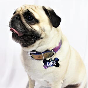 Celestial Dog Collar | Personalized Dog Collar | Dog name collar | Celestial cat collar | Cosmic Dog Collar | Star Galaxy Dog Tag image 8