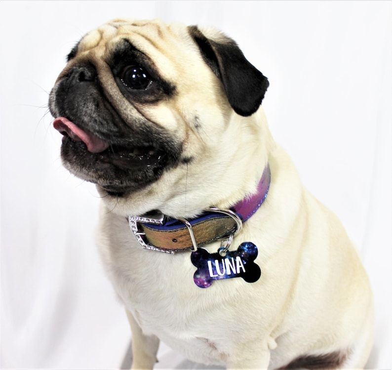 Celestial Dog Collar | Personalized Dog Collar | Dog name collar | Celestial cat collar | Cosmic Dog Collar | Star Galaxy Dog Tag image 8