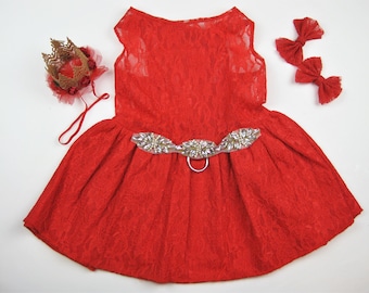 Red lace dog dress | Dog quinceanera | winter wedding | XXS-5XL | red bridesmaid | The Avis