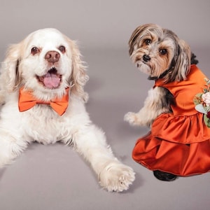 Wedding dog dress | Dog Flower girl Dress | Terra Cotta wedding | The Harriett | dog clothes XS-5XL | Optional Terracotta bowtie