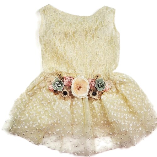 Wedding Dog Dress Dog Flower Girl Dress Blush Wedding Etsy