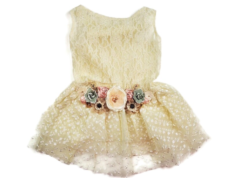 Wedding Dress for Dog Dog Flower Girl Dress the Viridi Etsy