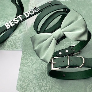 Sage dog bow tie collar | ring clip | Dog Bow tie | Dog wedding bow tie | Dog Ring bearer | bowtie | 10 Color options | XXS- XXL