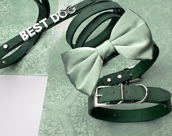 Sage dog bow tie collar | ring clip | Dog Bow tie | Dog wedding bow tie | Dog Ring bearer | bowtie | 10 Color options | XXS- XXL