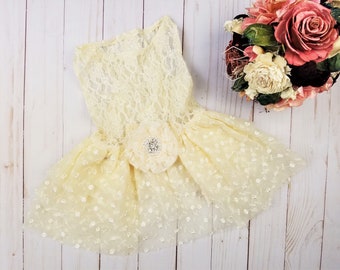 Wedding Dog Dress | 10 DOLLAR INT'L SHIPPING! | Ivory Lace Dress | Dog Wedding attire | Engagement photos | Puppy dress | xs-3xl