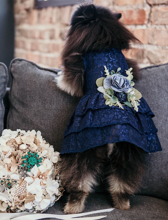 Navy blue dog dress hotsell