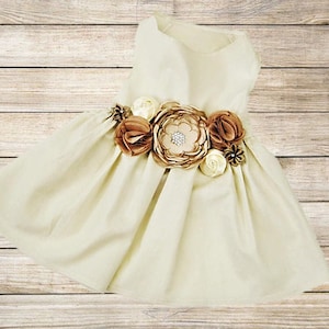 Sugar and Spice Dog Dress Ginger and Beige Dog Dress Flower Girl Dog Dress Wedding or birthday party XXS-5XL image 1