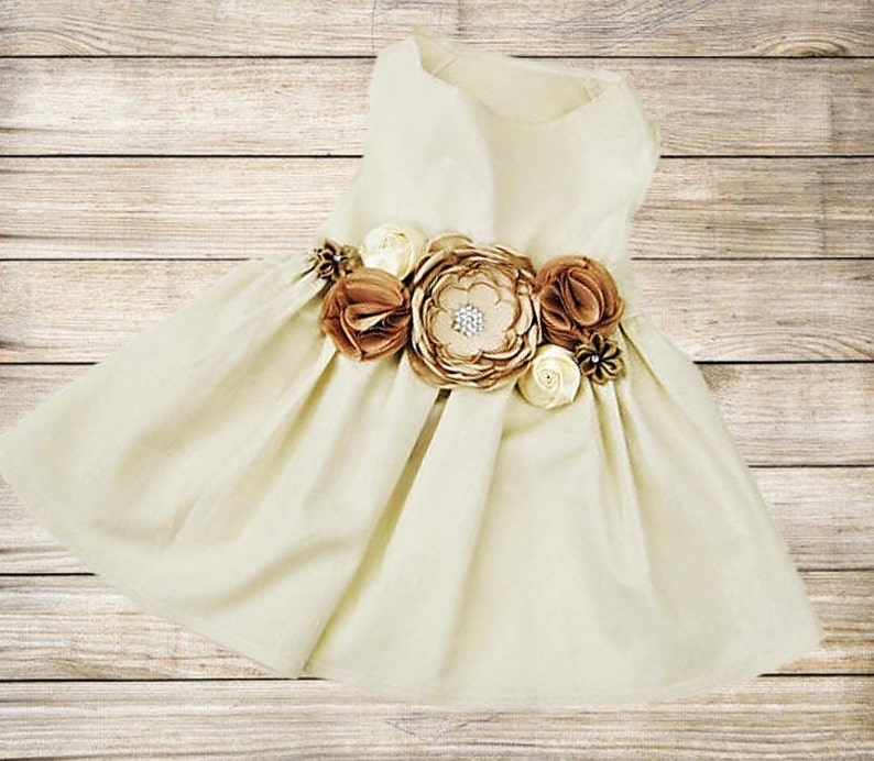 Sugar and Spice Dog Dress Ginger and Beige Dog Dress Flower Girl Dog Dress Wedding or birthday party XXS-5XL image 1