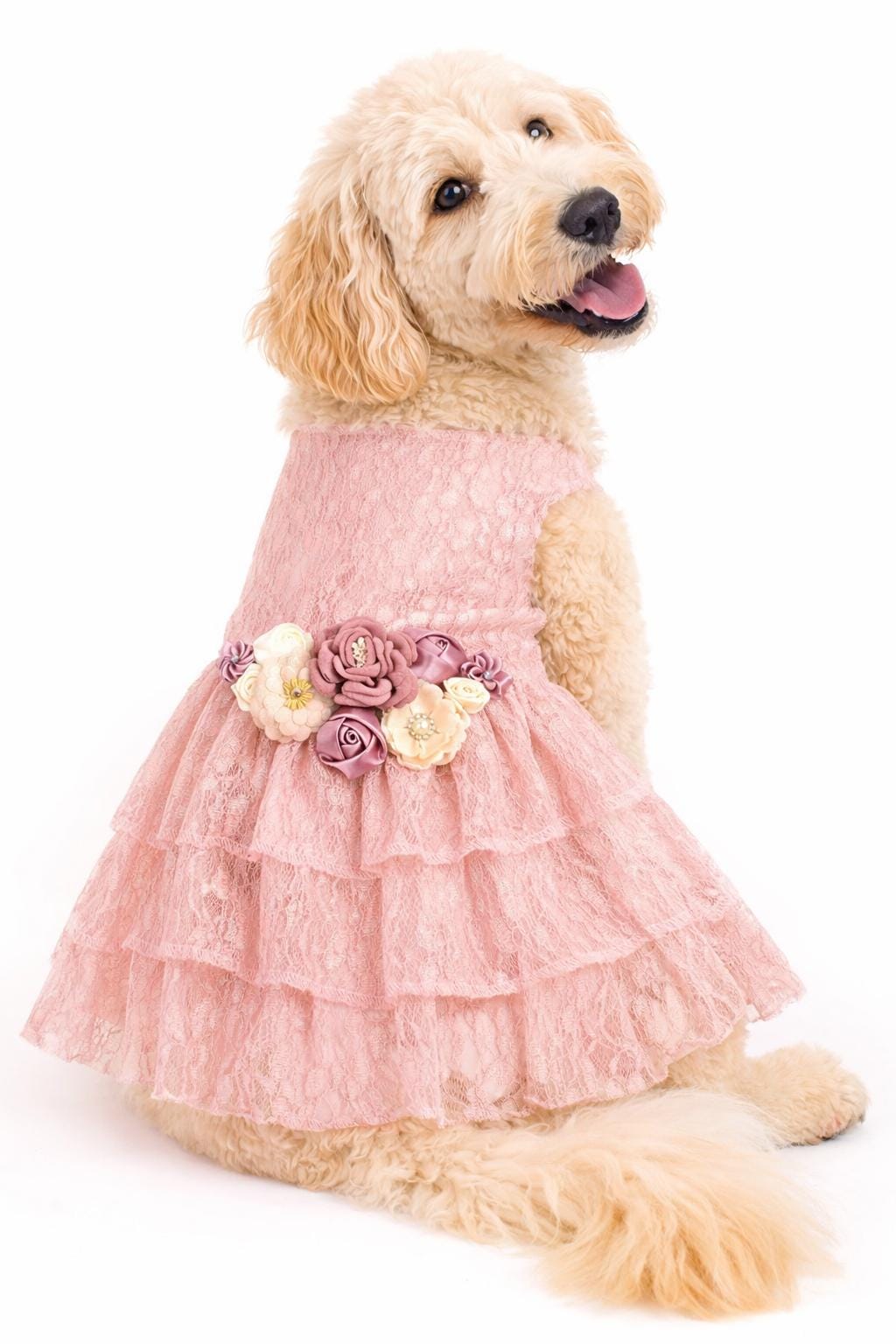 Pink Blush Dog Bridesmaid Dress Pink Blush Dog Bridesmaid Dress