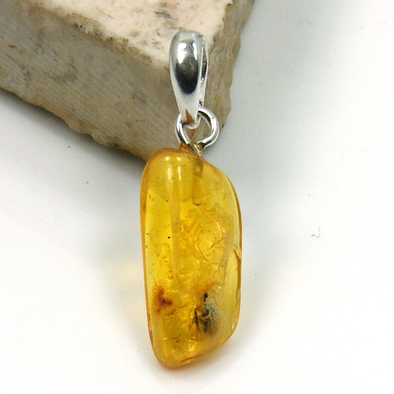 Natural Baltic Amber with Fossil Fly Inclusion Sterling Silver Pendant AG197