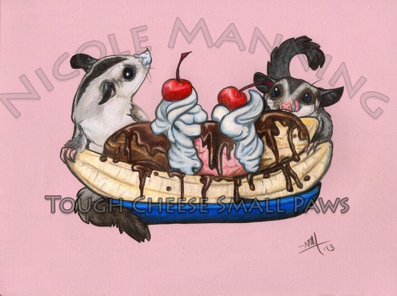 Download Pencil Sugar Glider Drawing