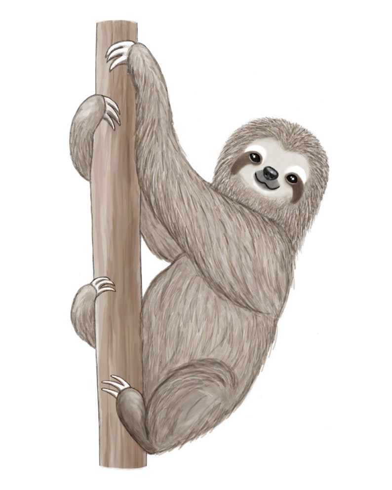Sloth Nursery Wall Art Gender Neutral Baby Decor Sloth - Etsy