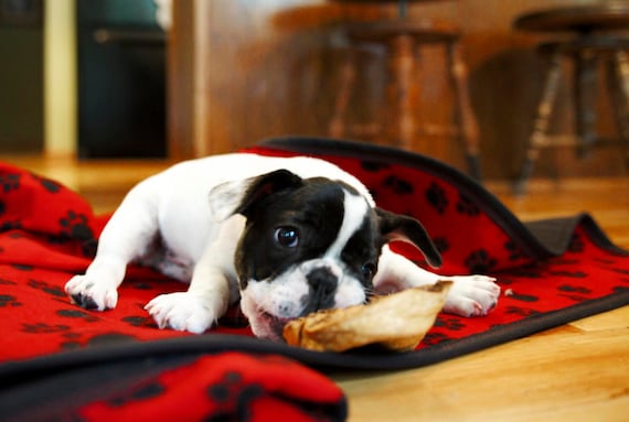 Waterproof dog blanket for car cheap