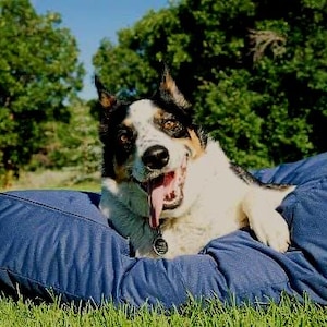 Waterproof Dog Bed Cover: Machine Washable, DIY Design