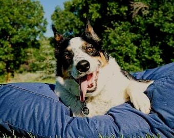 Waterproof Dog Bed Cover: Machine Washable, DIY Design