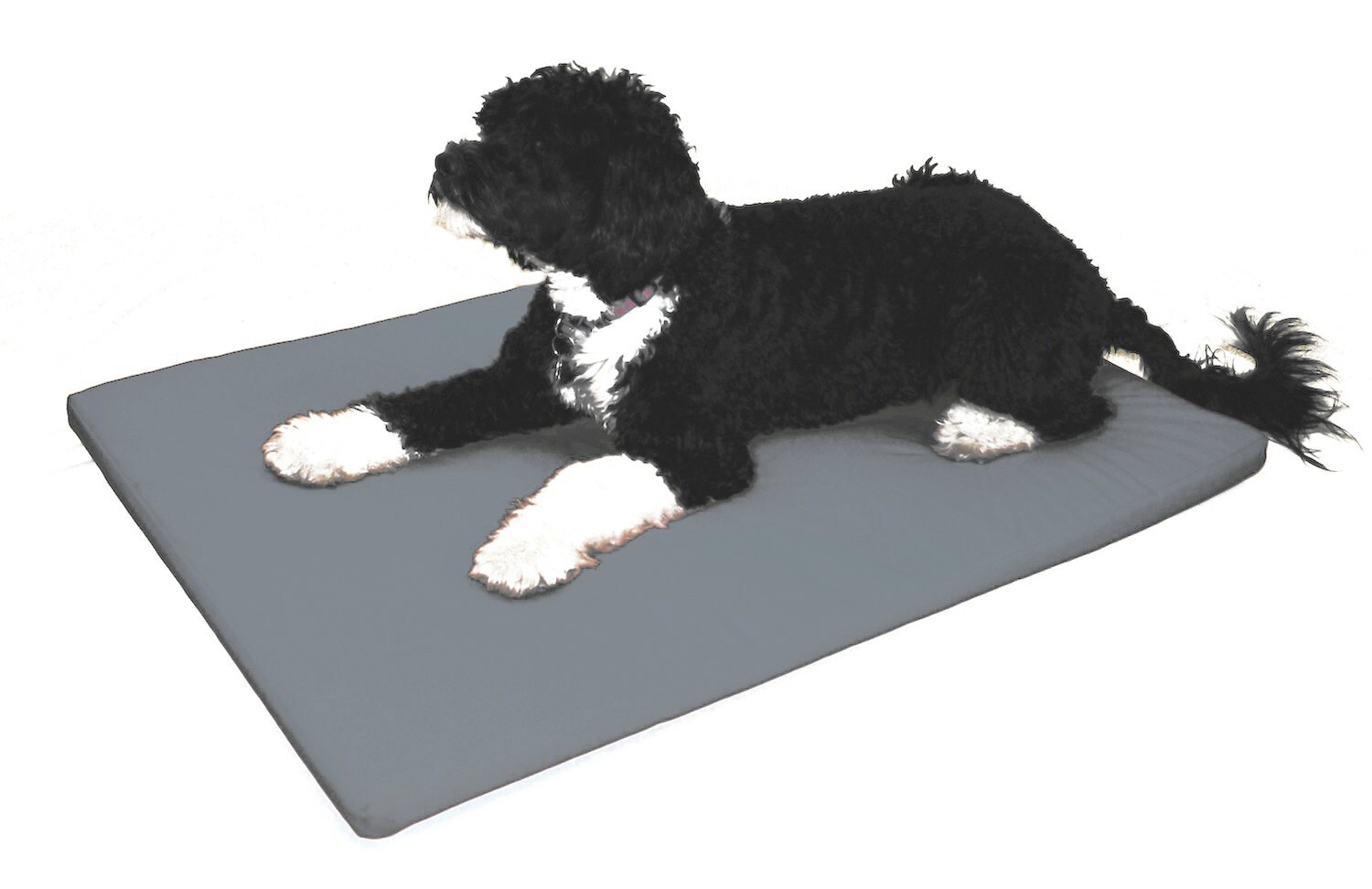 xlarge waterproof dog bed