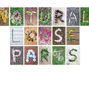 Puede incluir: La palabra "NATURAL" está escrita con varios materiales naturales, como hojas, flores y ramitas. La palabra "ROSE" está escrita con pétalos de flores rosas. La palabra "PARTS" está escrita con hojas verdes y ramitas.