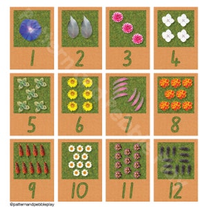 Nummerkaarten 1-12 met natuurlijke voorwerpen voor het tellen van digitale download