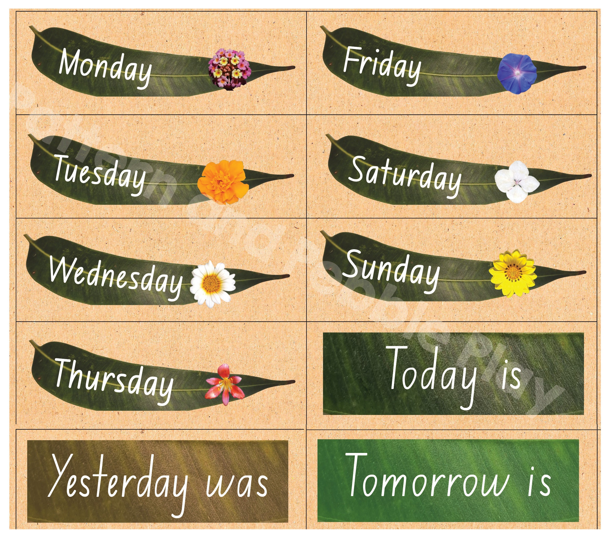 Days of the Week Chart or Poster Made From Natural Loose Parts - Etsy