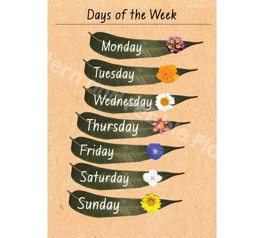 A4 Days of the Week Poster - Etsy