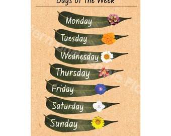 A4 Days of the week poster