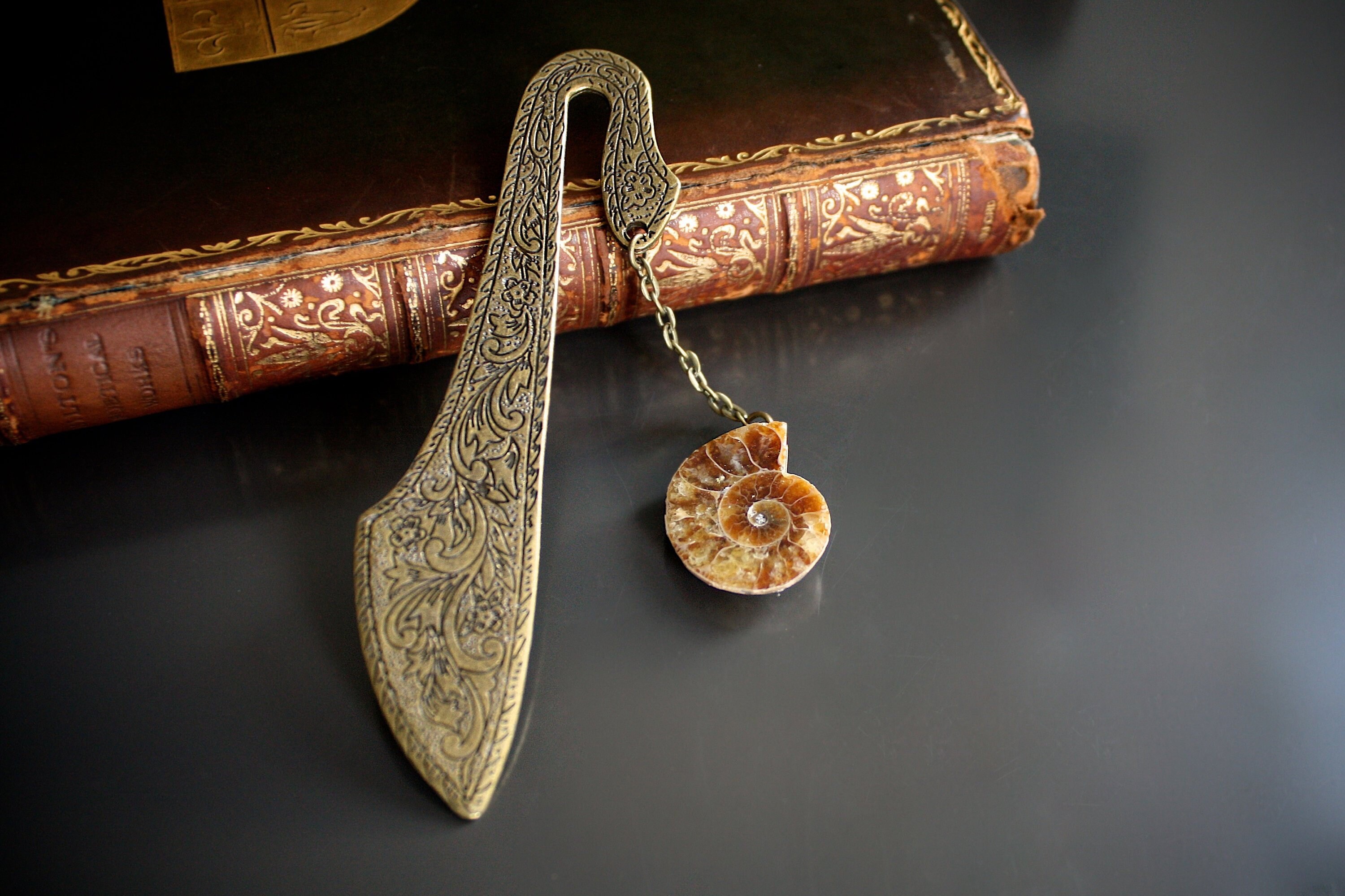 Unique Gifts Real Ammonite Bookmark Fossil Bookmark Fossil Jewellery …