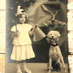 Cartão postal antigo de cachorro poodle - Chapéu de palhaço de menina Pierrot, varinha mágica, arco de circo, chapéu de pompons de bruxo, tingimento francês 1900