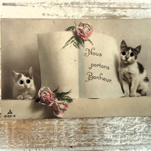 Cartão postal antigo com olhos de vidro - Dois gatos, gatinhos, animal de estimação, livro, flores, rosas, sorte, estranho, assustador, esquisitice, francês, tingido, 1900