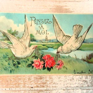 Antieke voorjaarskaart met reliëf: twee witte duiven, vliegen die de beste wensen brengen, rozenbloemen, weidewater, frans reliëf getint 1900