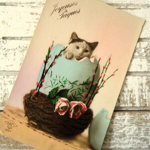 Postal antigua de gato: gatito, gran huevo de Pascua, flores y rosas, regalo para amantes de los gatos, coloreada a mano en francés, 1900