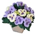 see more listings in the Funky Flowers section