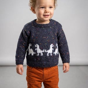 Small Dinosaurs Sweater & Hat Knitting Pattern: Aran/Worsted Jumper, 3-24 months (Digital Download)