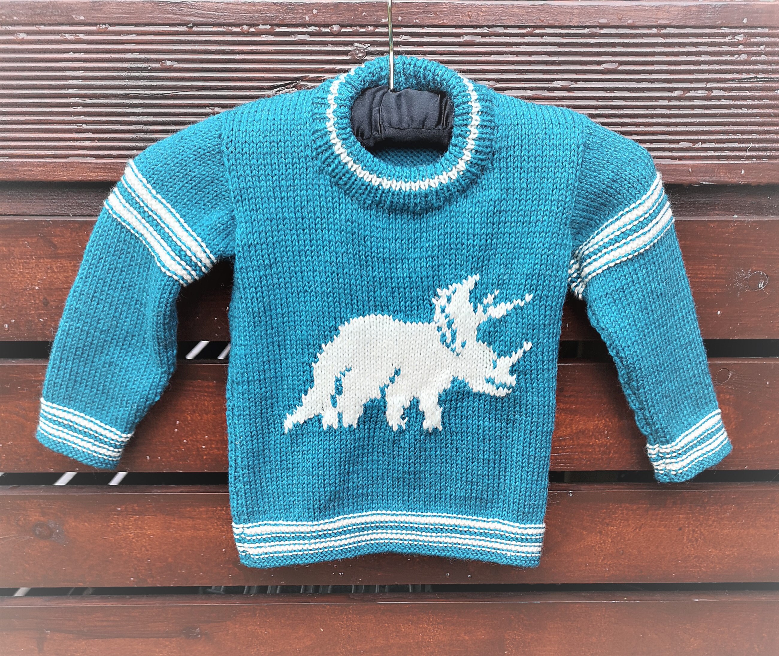 sweater full design