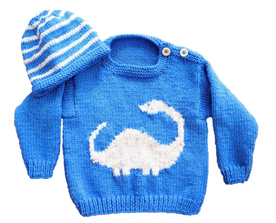 baby dinosaur jumper