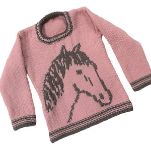 Knitting Pattern for Sweater with a Horse 2-7 years, Pony Jumper Knitting Pattern for Boy and Girl in DK wool, Digital Download PDF