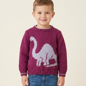 May include: A long-sleeved, crew-neck sweater in a deep magenta color featuring a large, light gray knitted dinosaur graphic on the front. The sweater has a ribbed collar, cuffs, and hem, with a subtle light gray stripe detail on the cuffs.