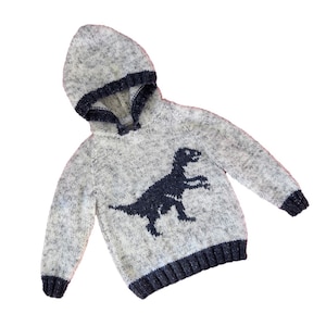 Knitting pattern for boys and girls dinosaur hoodie, Pdf digital download, Velociraptor Dinosaurs childrens Aran knitting pattern 2-12 years image 1