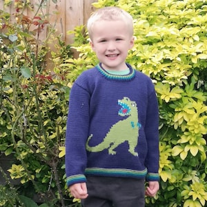 Peut inclure: Un jeune garçon portant un pull en laine bleu avec un motif de dinosaure vert. Le pull a des bordures vertes et bleues autour du cou et des poignets.