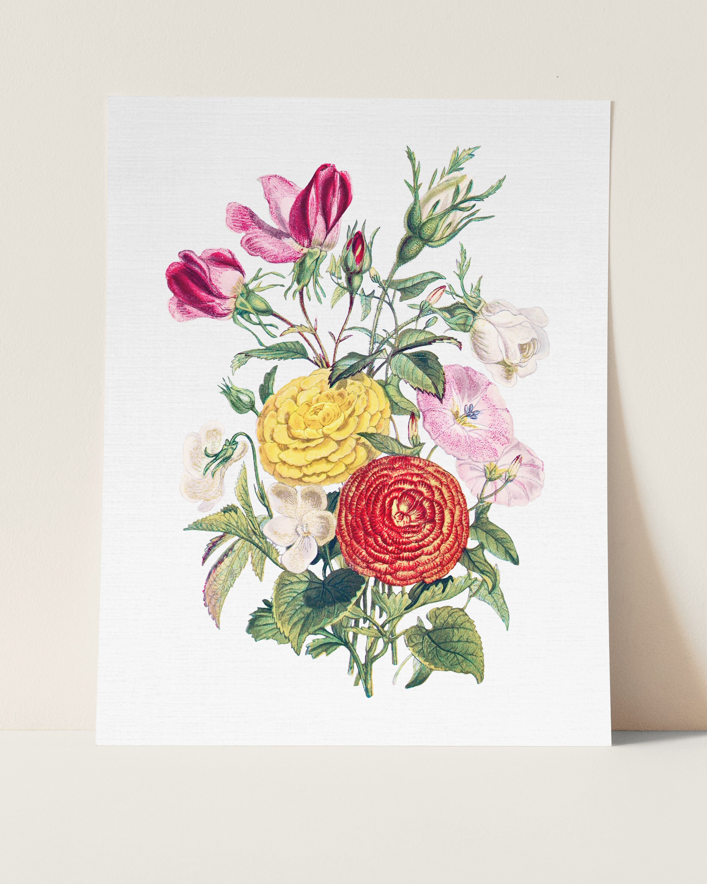 Vintage Rose Wildflower Carnation Flower Prints 6 Modern | Etsy