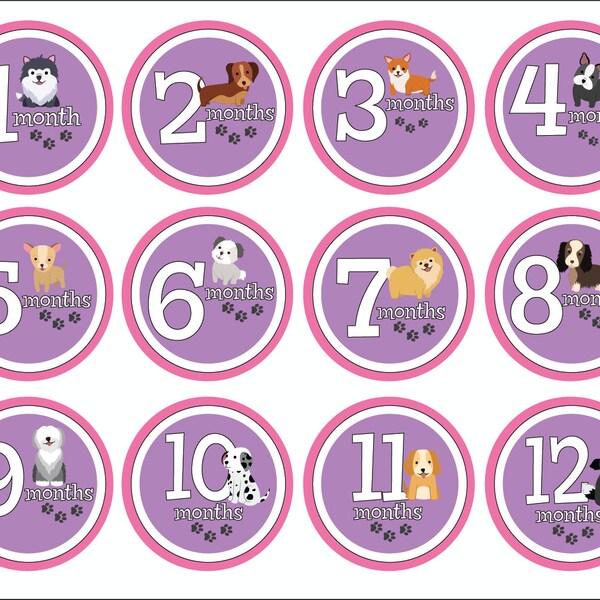 Baby Photo Milestone Stickers, Baby Girl Month Stickers, Monthly Baby Stickers, Shower Gift, Baby Photo Props, Baby Growth Stickers YP1534